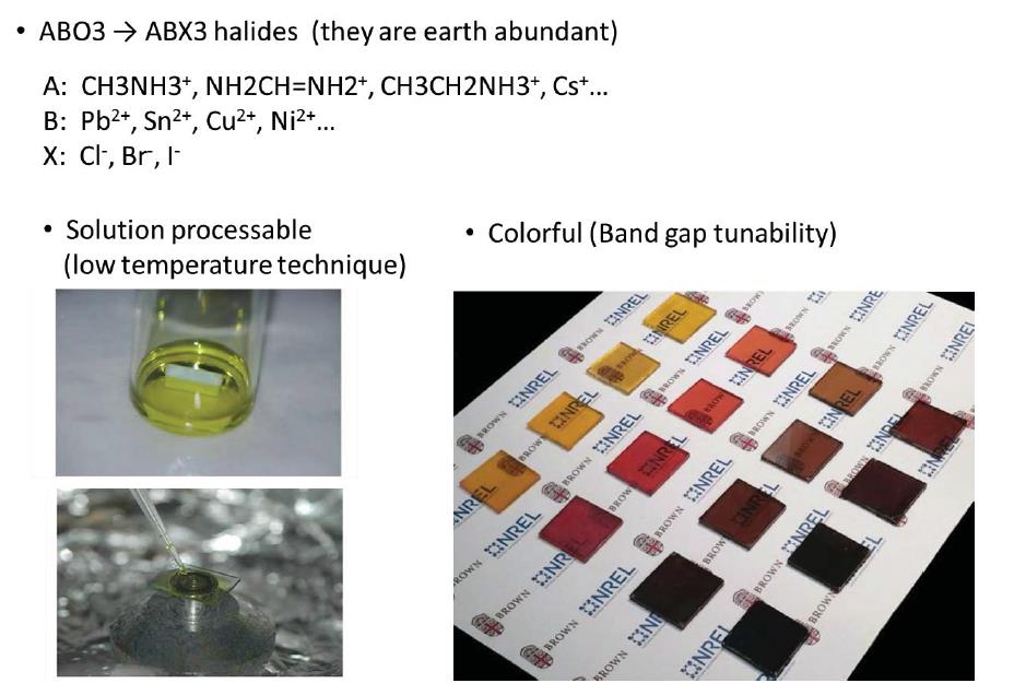 1637895142532544.jpg 2.jpg